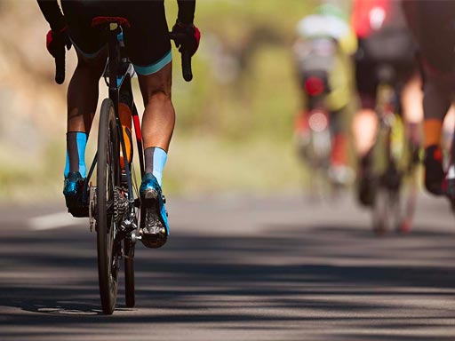 Bike Tours