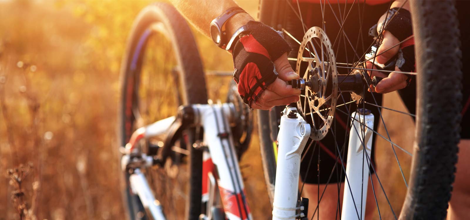 Services for the bike world